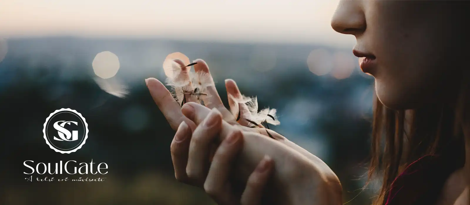 services header 3 services header 3